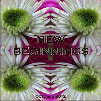 New Beginnings