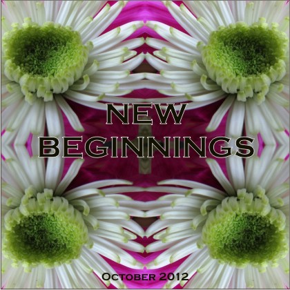 New Beginnings